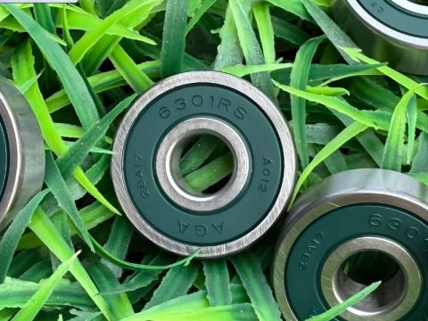Vòng bi 6301 AGA – 6301ZZ – 6301 2RS