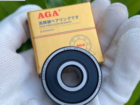 Vòng bi 6301 AGA – 6301ZZ – 6301 2RS