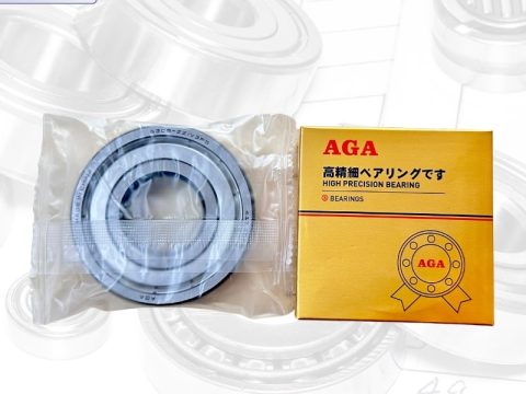 Vòng bi 6306 AGA – 6306ZZ – 6306 2RS