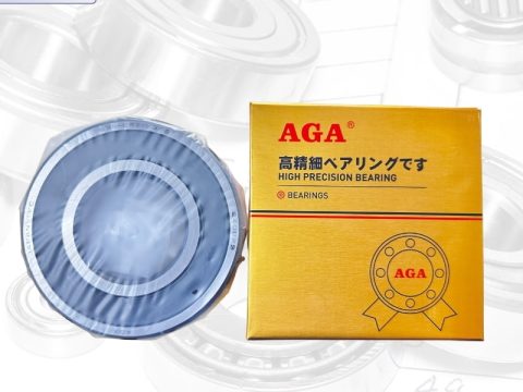 Vòng bi 6311 AGA – 6311ZZ – 6311 2RS