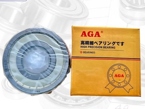 Vòng bi 6411 AGA – 6411ZZ – 6411 2RS