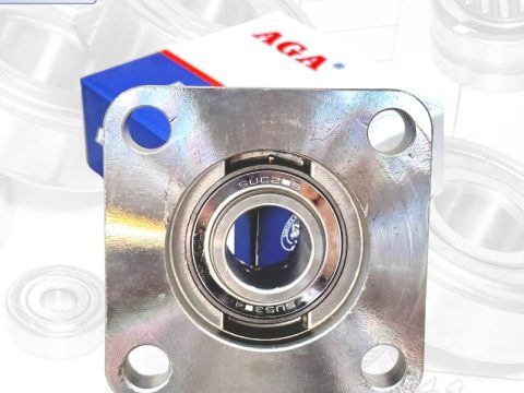 Gối đỡ INOX SUCF205 AGA