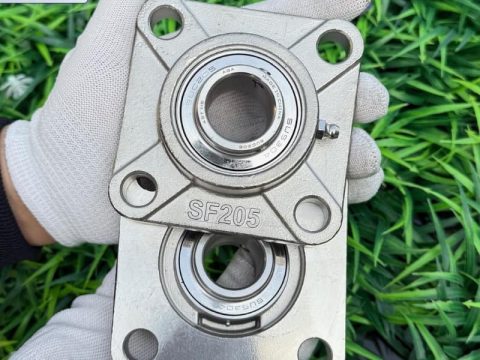 Gối đỡ INOX SUCF205 AGA