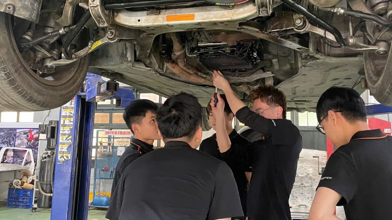 Mỡ bò chịu nhiệt: Phân loại, ứng dụng và bảng giá bán mới nhất