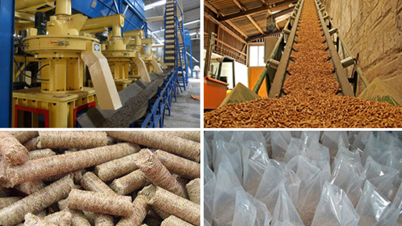 Tìm hiểu chi tiết về dây chuyền sản xuất viên nén gỗ