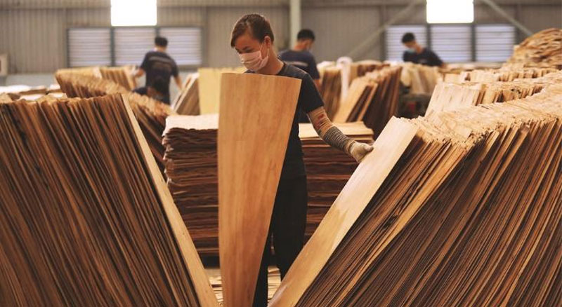 Máy bóc gỗ: Phân loại, giá bán và ứng dụng thực tế