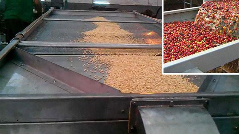 Cấu tạo và ứng dụng các loại máy sàng hạt cà phê, tiêu