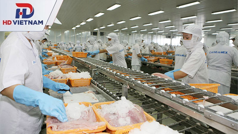 Tổng hợp danh sách mã vòng bi ngành thực phẩm