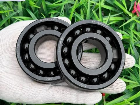 Vòng bi chịu nhiệt 970306BH AGA