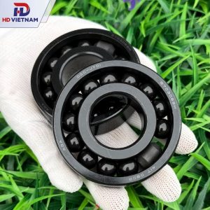 Vòng bi chịu nhiệt 970306BH AGA - HD VIETNAM