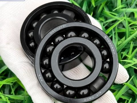 Vòng bi chịu nhiệt 970306BH AGA