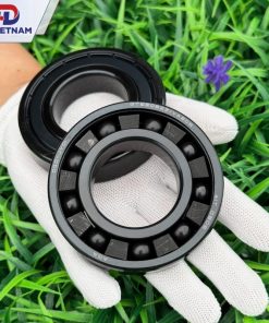 Vòng bi chịu nhiệt GT6206ZZ/VA208 AGA - HD VIETNAM