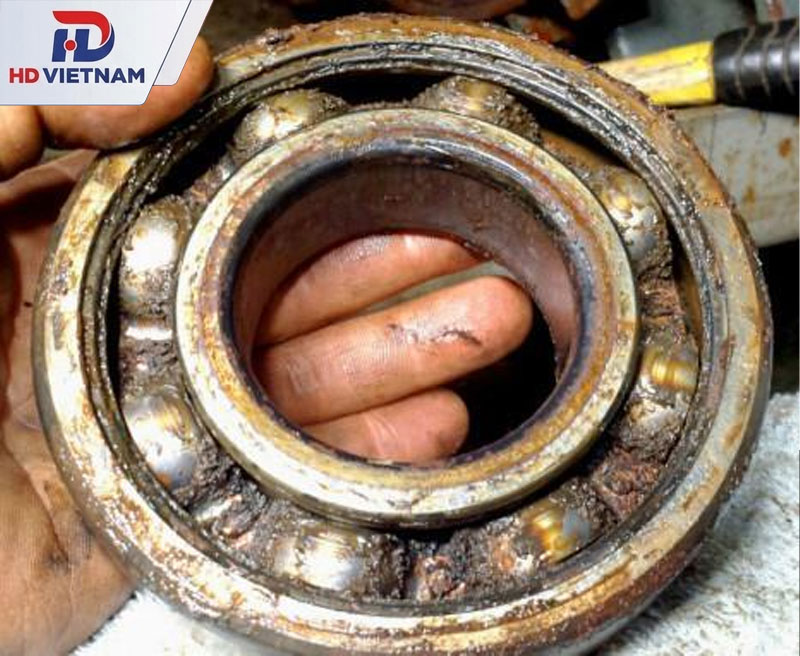 Khi nào nên thay gối đỡ UCP? Dấu hiệu nhận biết và cách kiểm tra