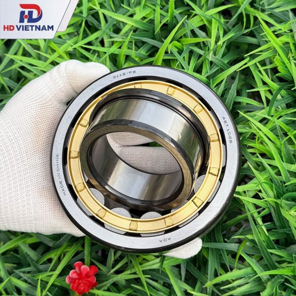 Bạc đạn đũa NJ311