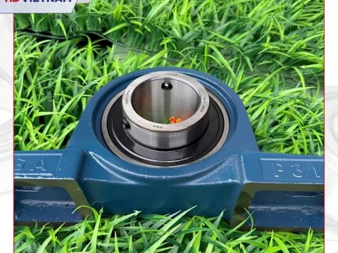Gối đỡ UCP 312 AGA