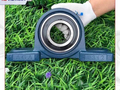 Gối đỡ UCP 312 AGA