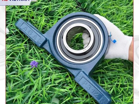 Gối đỡ UCP 312 AGA