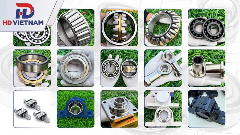 Các dòng sản phẩm chủ lực của AGA