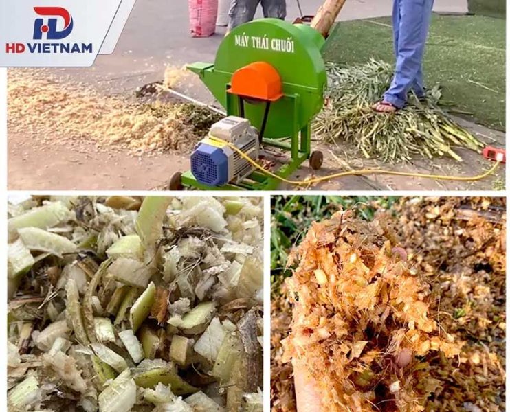 Máy băm chuối