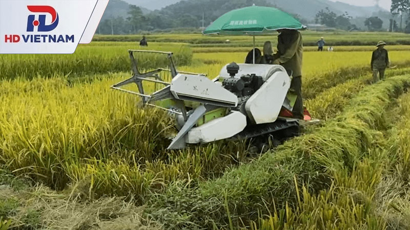 Máy cắt lúa mini phù hợp hơn với ruộng nhỏ