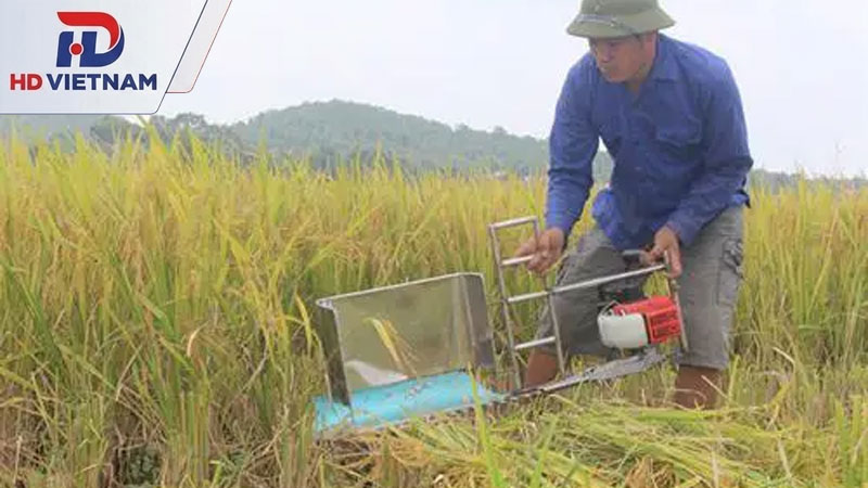 Máy cắt lúa mini cầm tay