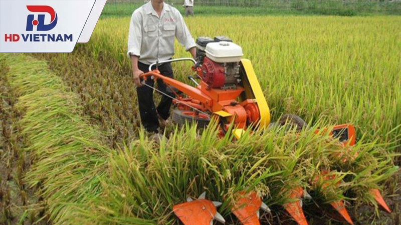 Máy gặt lúa mini