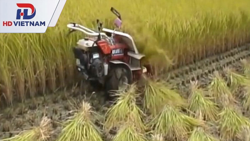 Máy gặt mini tự hành