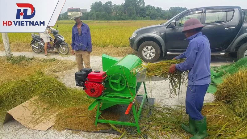 Máy đập lúa liên hoàn.
