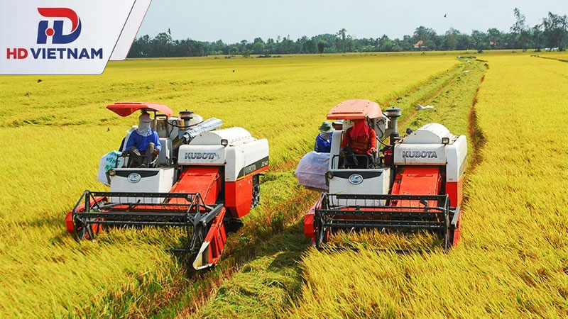 Máy gặt cỡ lớn