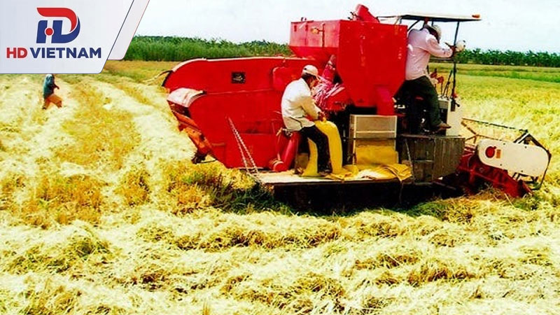 Đập và tách hạt