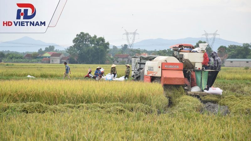 Phân ly và làm sạch thóc