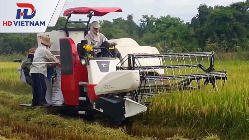 Máy gặt đập liên hợp