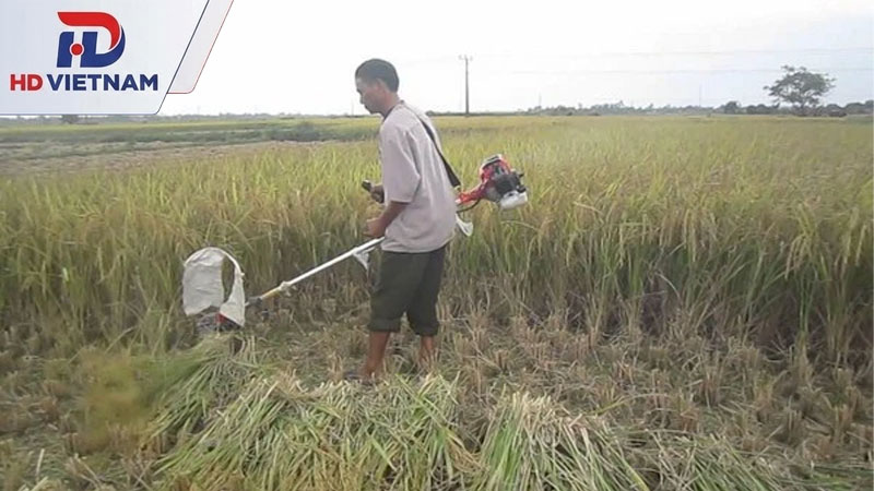Máy gặt lúa đẩy tay
