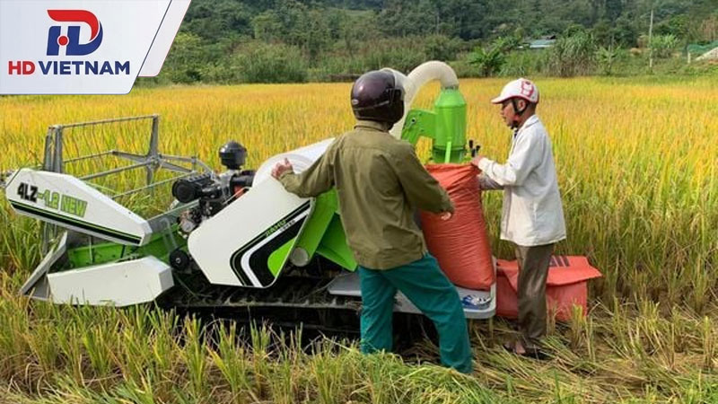 Thu hoạch tại ruộng nhỏ và khu vực khó tiếp cận