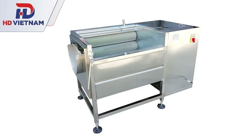 Máy rửa nghệ & máy rửa gừng