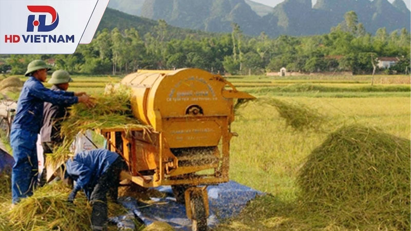 Máy đập lúa liên hoàn