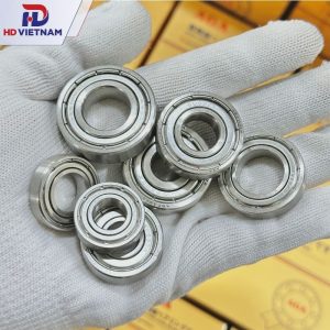 VÒNG BI INOX 6000 AGA | BẠC ĐẠN S6000ZZ AGA - HD VIETNAM