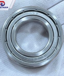 VÒNG BI INOX 6005 AGA | BẠC ĐẠN S6005ZZ AGA - HD VIETNAM