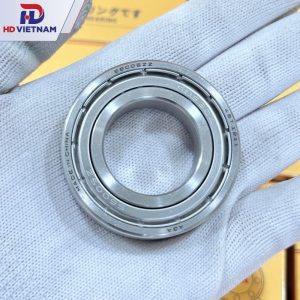 VÒNG BI INOX 6005 AGA | BẠC ĐẠN S6005ZZ AGA - HD VIETNAM