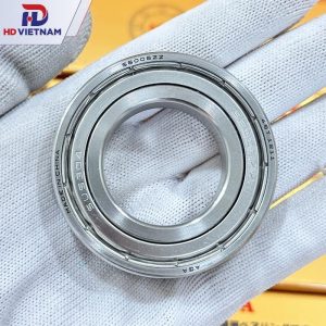 VÒNG BI INOX 6006 AGA | BẠC ĐẠN S6006ZZ AGA - HD VIETNAM