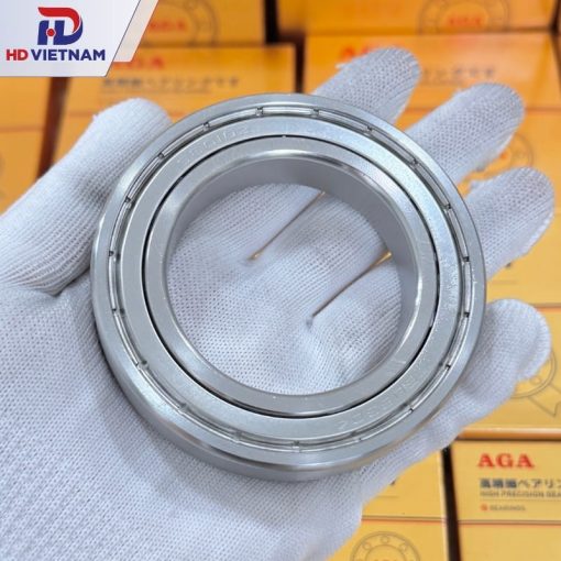 Vòng bi INOX 6010 AGA – S6010ZZ