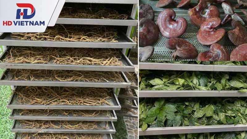 Các phương pháp sấy dược liệu hiện nay
